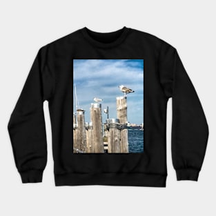 Seagulls, New York City Crewneck Sweatshirt